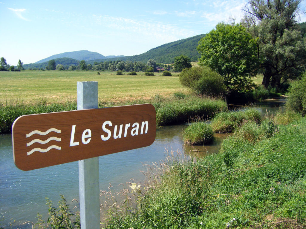 Le Suran (panneau)